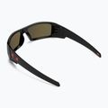 "Oakley Gascan" akiniai nuo saulės poliruoti juodi/prizm ruby 2