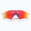 Akiniai nuo saulės Oakley Radar EV Path polished white/prizm ruby 5