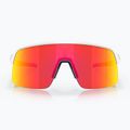 Akiniai nuo saulės Oakley Sutro Lite matte white/prizm ruby 2