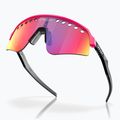 Akiniai nuo saulės Oakley Sutro Lite Sweep pink/prizm road 4