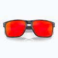 Akiniai nuo saulės Oakley Holbrook XL matte black camo/prizm ruby 2
