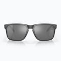 Akiniai nuo saulės Oakley Holbrook XL steel/prizm black polarized 2