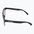 "Oakley Frogskins Lite" akiniai nuo saulės 4