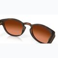 Akiniai nuo saulės Oakley Latch matte brown tortoise/prizm brown gradient 7