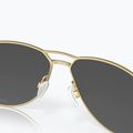 Oakley Contrail sating gold/prizm black akiniai nuo saulės 6