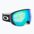 "Oakley Flight Path L" matiniai juodi/prizm argon slidinėjimo akiniai