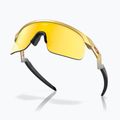 Vaikiški akiniai nuo saulės Oakley Resistor gold/prizm 24k 4