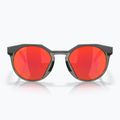 "Oakley Hstn" matiniai anglies/prizm rubino akiniai nuo saulės 6