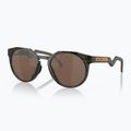 "Oakley Hstn" alyvuogių rašalas/prizm tungsten poliarizuoti akiniai nuo saulės 5