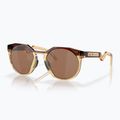 Oakley Hstn tamsiai gintariniai/šviesiai kario akiniai nuo saulės 6