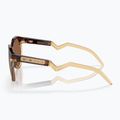 Oakley Hstn tamsiai gintariniai/šviesiai kario akiniai nuo saulės 8