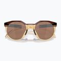 Oakley Hstn tamsiai gintariniai/šviesiai kario akiniai nuo saulės 10