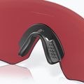 Akiniai nuo saulės Oakley Encoder matte moss green/prizm snow sapphire 10