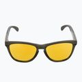 Akiniai nuo saulės Oakley Frogskins Range dark brush/prizm 24k polarized 3