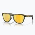 Akiniai nuo saulės Oakley Frogskins Range dark brush/prizm 24k polarized 5