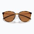 Akiniai nuo saulės Oakley Sielo polished brown tortoise/prizm bronze polar 6