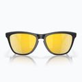Akiniai nuo saulės Oakley Frogskins Hybrid matte black/prizm 24k polar 2