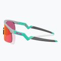 Vaikiški akiniai nuo saulės Oakley Resistor matte fog/prizm field 3