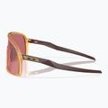 Akiniai nuo saulės Oakley Sutro matte trans light curry/prizm dark golf 5