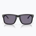 Akiniai nuo saulės Oakley Holbrook Fathom Collection matte black/prizm grey 2