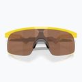 Vaikiški akiniai nuo saulės Oakley Resistor yellow/prizm tungsten 4