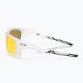 Akiniai nuo saulės Oakley Lateralis Seek Collection matte vapor/prizm ruby polarized 5