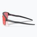 "Oakley Corridor SQ" matiniai anglies/prizmos trail torch akiniai nuo saulės 5