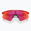 Oakley Resistor Sweep redline/prizm field vaikiški akiniai nuo saulės 3