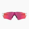 Oakley Radar EV S Path akiniai nuo saulės poliruoti balti/prizm field 2