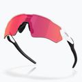 Oakley Radar EV S Path akiniai nuo saulės poliruoti balti/prizm field 4