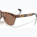 Akiniai nuo saulės Oakley Frogskins Range XL brown tortoise/brown smoke 6