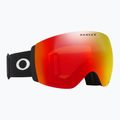 Slidinėjimo akiniai Oakley Flight Deck Pro L matte black/prizm sage gold/prizm iced