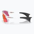 Akiniai nuo saulės Oakley Stunt Devil matte clear/prizm field 5