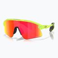 Akiniai nuo saulės Oakley Stunt Devil matte uranium/Prizm Ruby 6