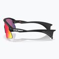 Akiniai nuo saulės Oakley Stunt Devil matte black/prizm road 3