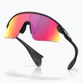 Akiniai nuo saulės Oakley Stunt Devil S matte black/Prizm Road 4