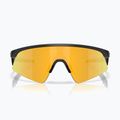 Vaikiški saulės akiniai Oakley Resistor Sweep polished matte black/Prizm 24K 2