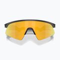 Vaikiški saulės akiniai Oakley Resistor Sweep polished matte black/Prizm 24K 3