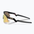 Vaikiški saulės akiniai Oakley Resistor Sweep polished matte black/Prizm 24K 5