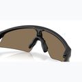 Vaikiški saulės akiniai Oakley Resistor Sweep polished matte black/Prizm 24K 7