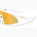 Vaikiški saulės akiniai Oakley resistor sweep matte white/prizm 24k 6