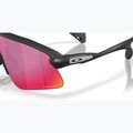 Saulės akiniai Oakley Stunt Devil A matte black/prizm road 6