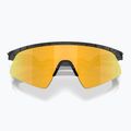 Vaikiški saulės akiniai Oakley Resistor Sweep matte black splatter/prizm 24k 5