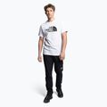 Vyriški trekingo marškinėliai The North Face Easy white NF0A2TX3FN41 2