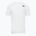 Vyriški trekingo marškinėliai The North Face Easy white NF0A2TX3FN41 9