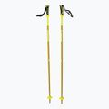 Salomon Arctic slidinėjimo lazdos geltonos L40559200