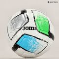 Joma Dali II futbolo 400649.211 dydis 4 5