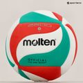 Molten tinklinio kamuolys V5M2200 5 dydžio 4