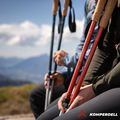 "Komperdell Ridgehiker Zero" tamsios sfinkso spalvos trekingo lazdos 5