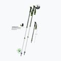 Žygio lazdos Komperdell Trailmaster Zero forrest green 10